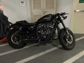 2019 Harley-Davidson Roadster (XL1200CX)