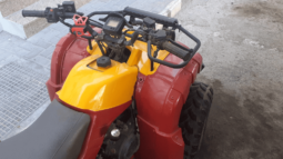 
										2015 Yamaha Grizzly 300 2WD Auto (YFM300A) full									