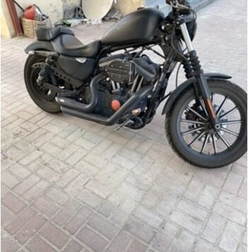 2010 Harley-Davidson Iron 883 (XL883N)