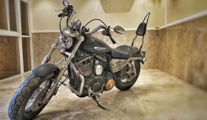 
								2014 Harley-Davidson Sportster 1200 (XL1200) full									