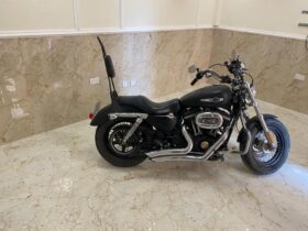 2014 Harley-Davidson Sportster 1200 (XL1200)