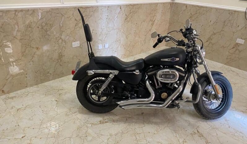 
								2014 Harley-Davidson Sportster 1200 (XL1200) full									