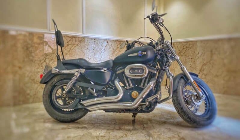 2014 Harley-Davidson Sportster 1200 (XL1200)