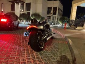 2011 Harley-Davidson V-Rod Muscle (VRSCF)