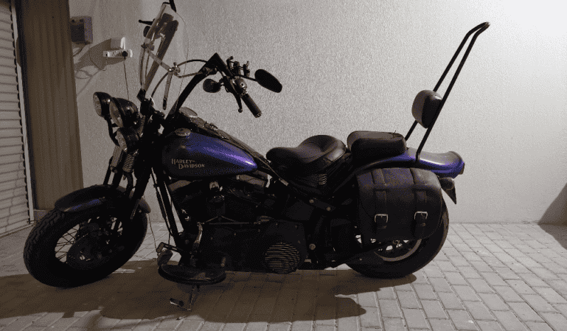 2010 Harley-Davidson Cross Bones 96 (FLSTSB)