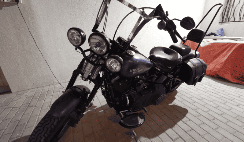
								2010 Harley-Davidson Cross Bones 96 (FLSTSB) full									